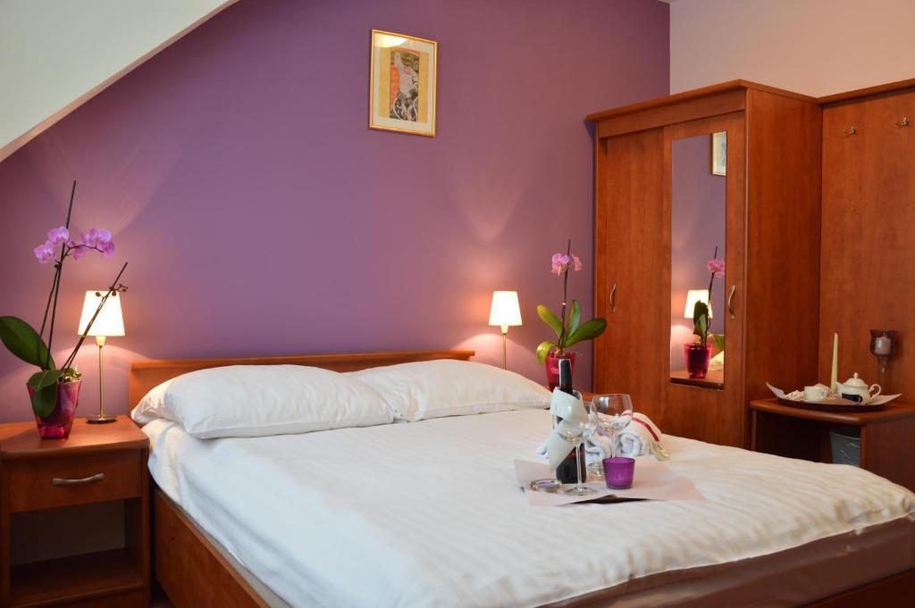 Hotel Vistula クラクフ 部屋 写真